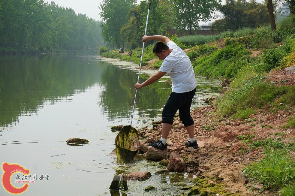 DSC00310_副本.jpg