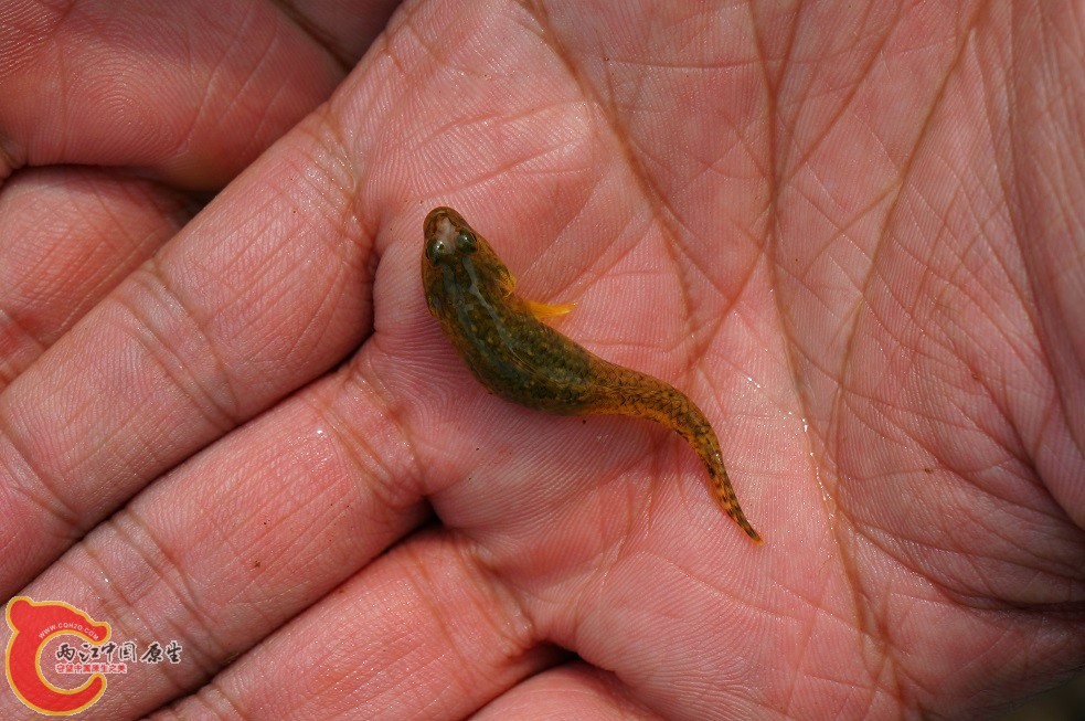 DSC00324_副本.jpg