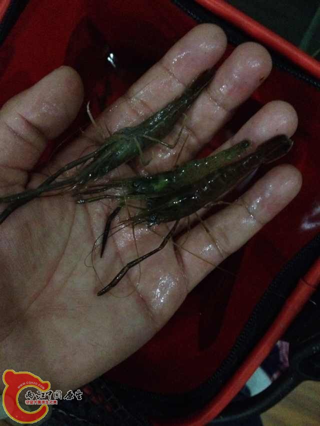 QQ图片20131226100151.jpg