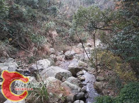 调整大小 不走寻常路.jpg