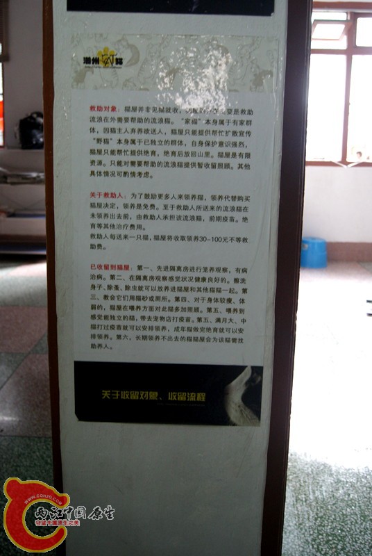 55.jpg