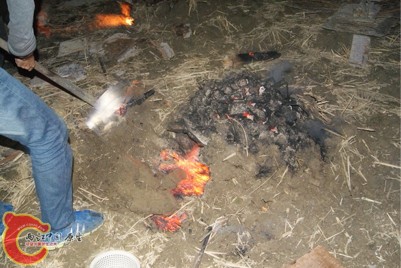 73.jpg