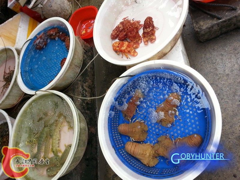 20131224_110716.jpg