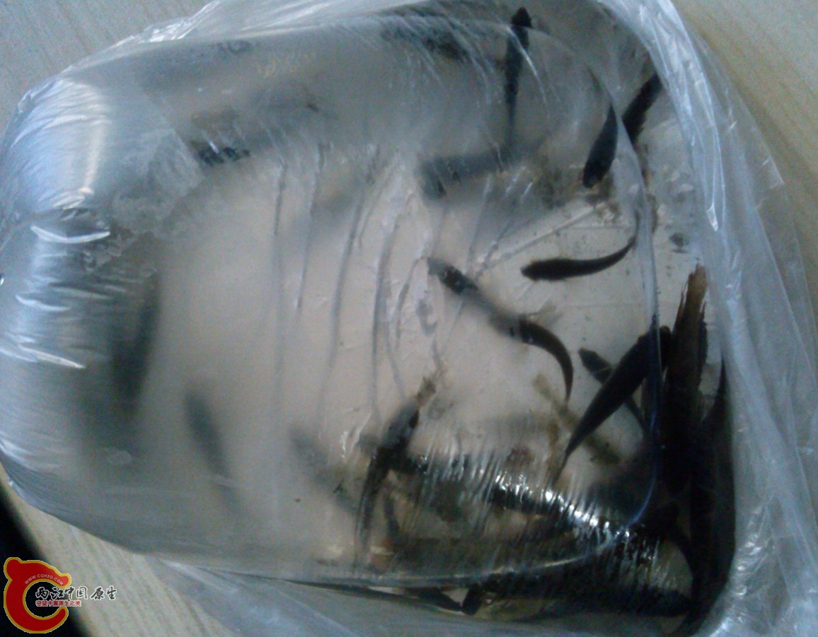 QQ图片20131227165021.jpg