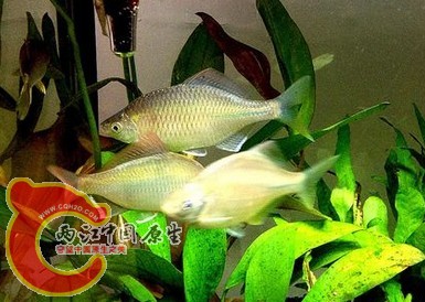 QQ图片20131229011807.jpg