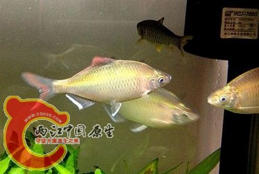 QQ图片20131229011815.jpg