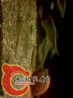 IMG0451A.jpg