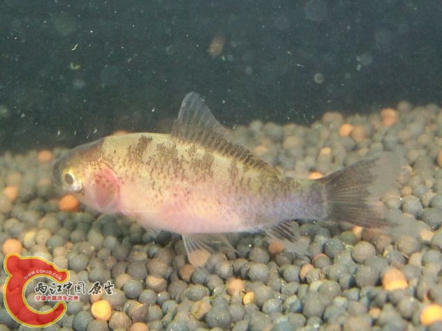 100_4343.JPG