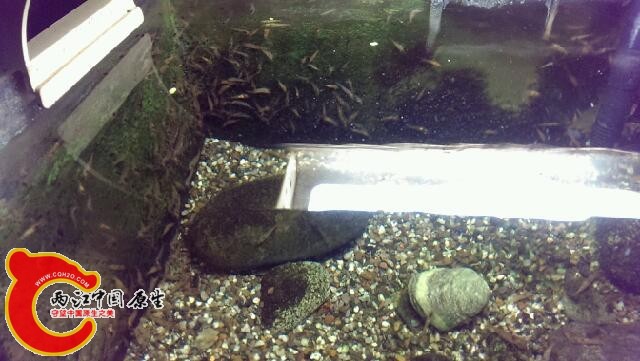 IMAG0380.jpg