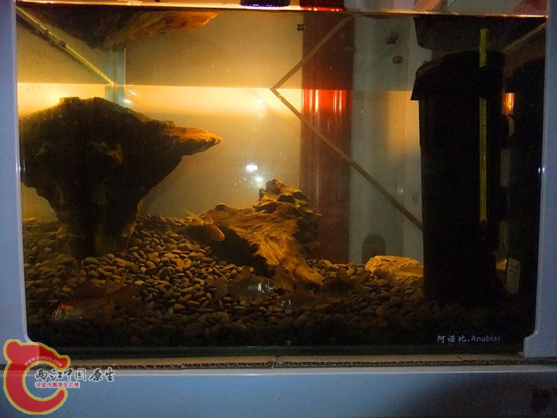 DSCF8251.JPG