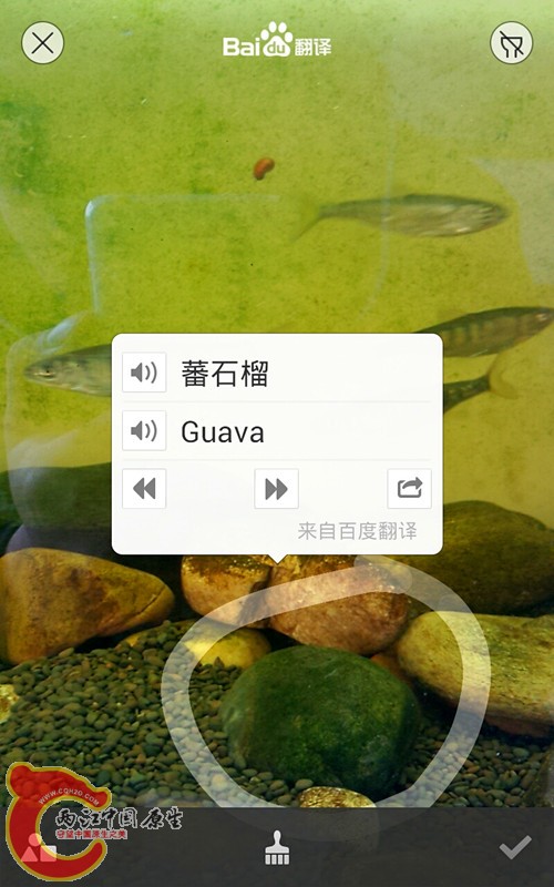 S40114-142051_副本.jpg