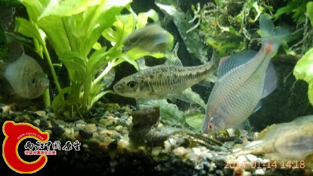 IMG_20140114_141855.jpg