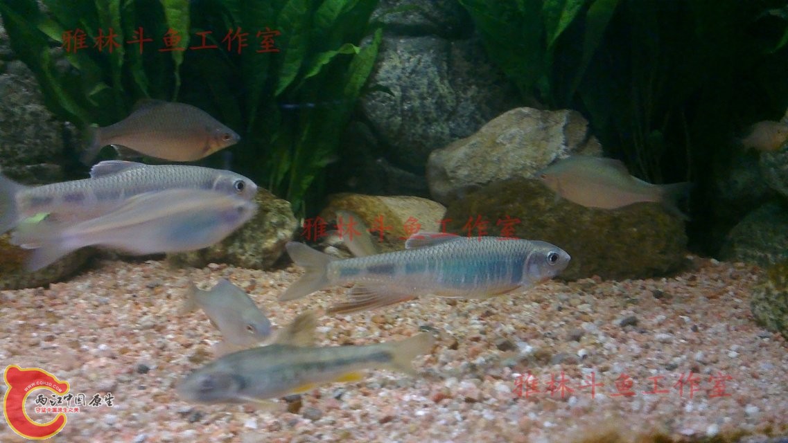 宽4.jpg