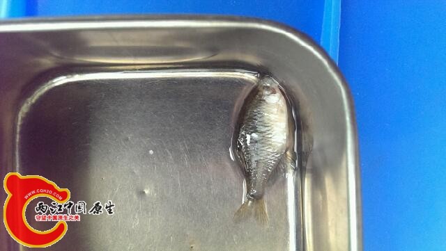 IMAG0402.jpg