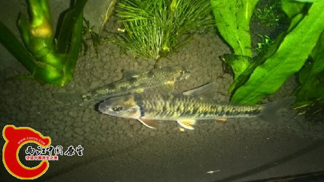 IMG_20140118_213227.jpg