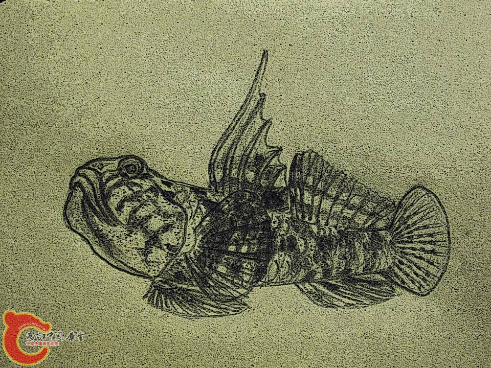 增強對比