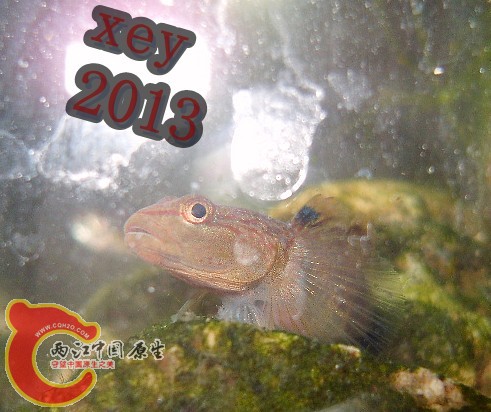 SL740136_副本.jpg