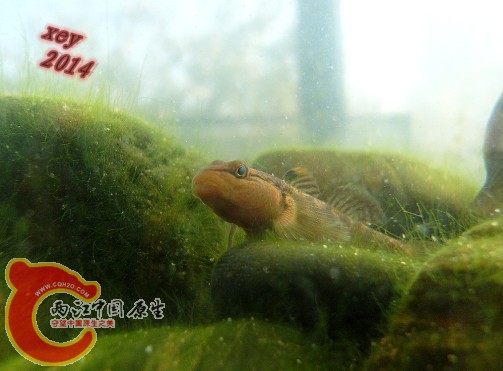 SL740093_副本.jpg