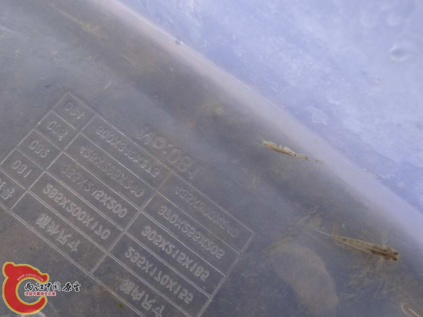 DSC01428.JPG