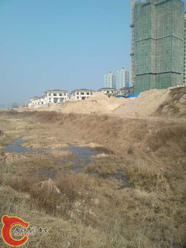mmexport1390715001139.jpg