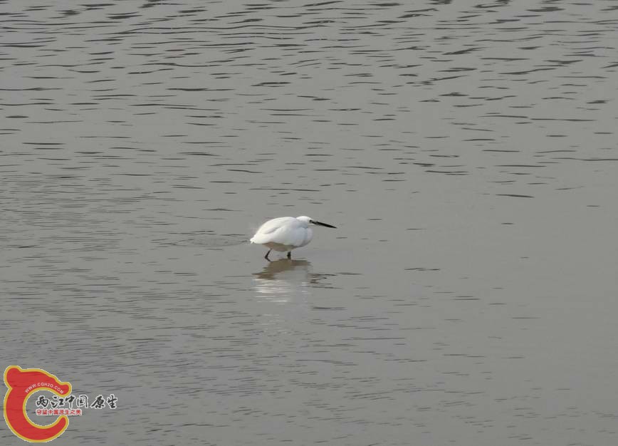 DSC00565.JPG