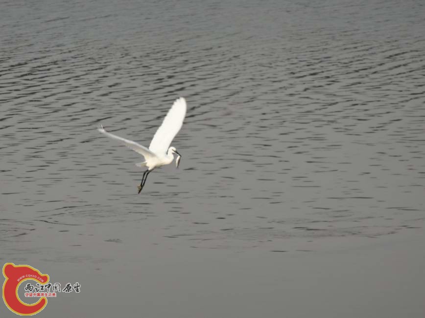 DSC00572.JPG