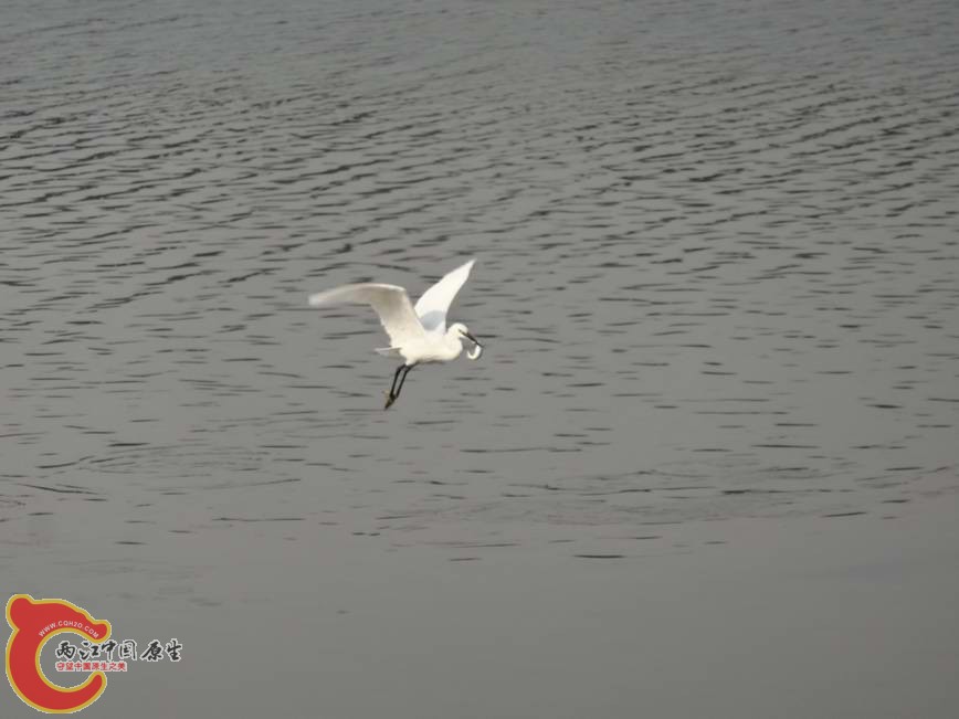DSC00574.JPG