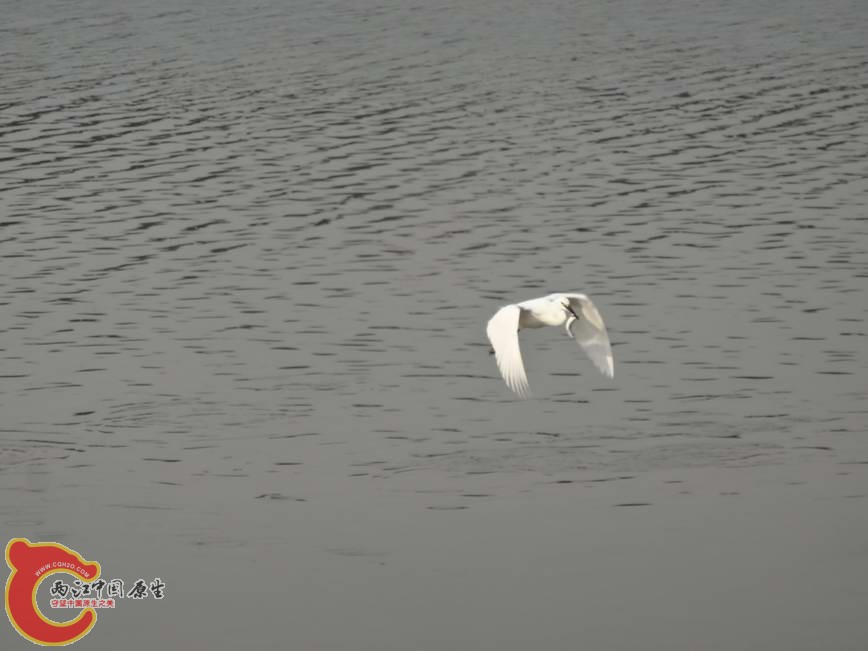 DSC00576.JPG