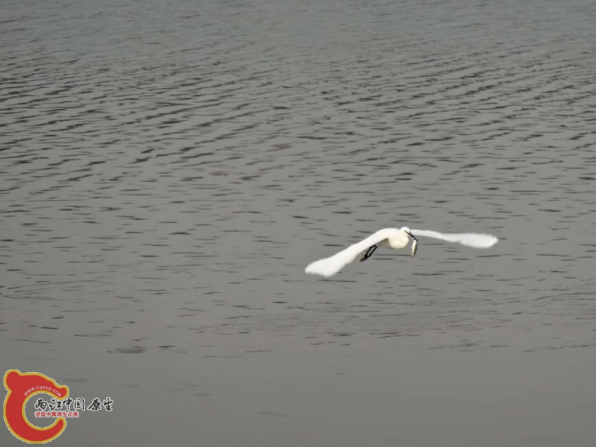 DSC00578.JPG