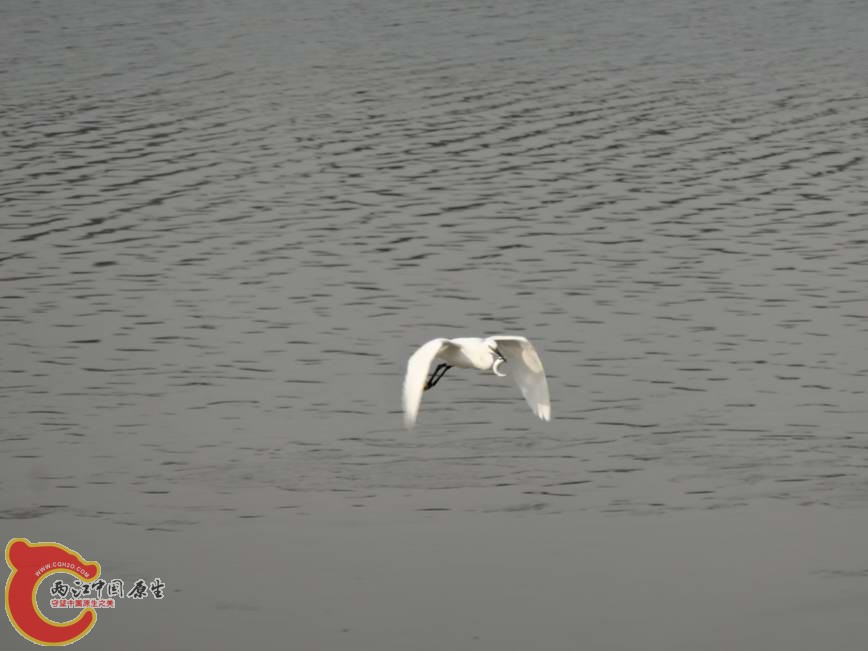 DSC00579.JPG