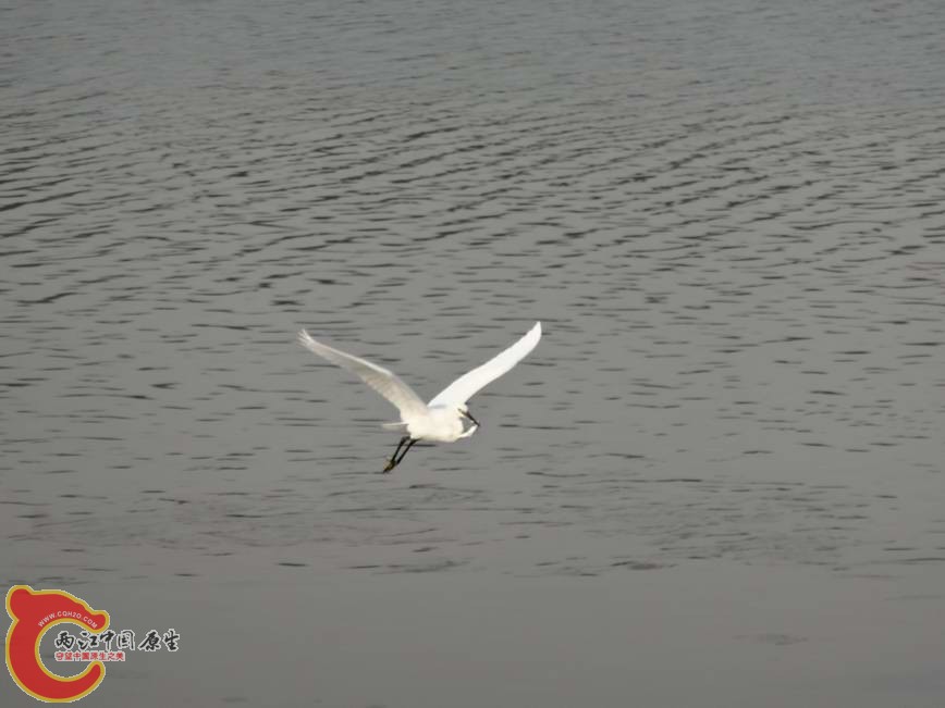 DSC00580.JPG