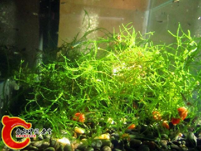 IMG_7565_鍓?湰.jpg