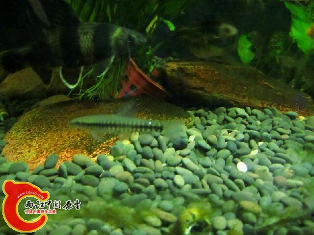 IMG_7569_鍓?湰.jpg