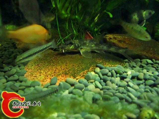 IMG_7576_鍓?湰.jpg