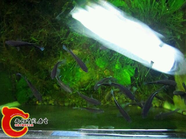 IMG_7582_鍓?湰.jpg
