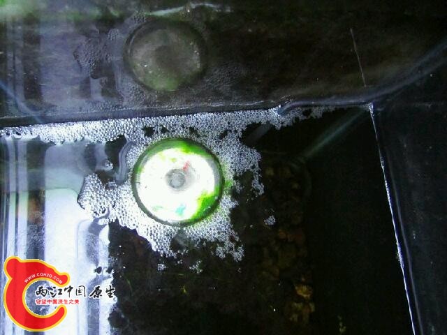 IMG_7579_鍓?湰.jpg