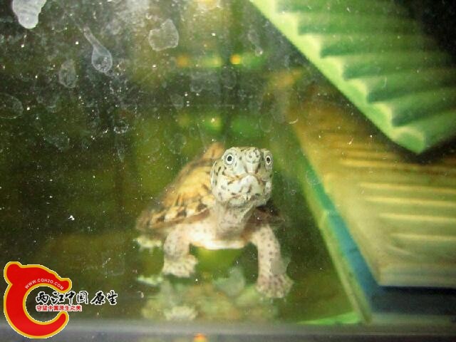 IMG_7585_鍓?湰.jpg