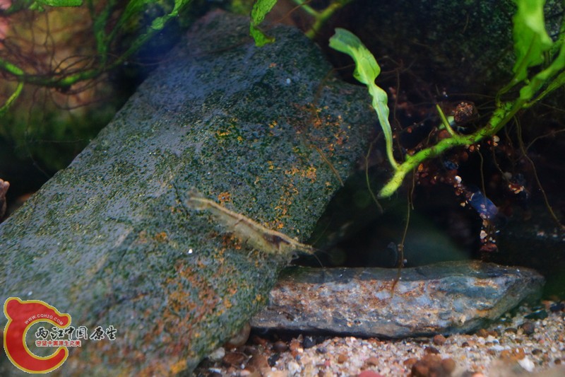 DSC01675_副本.jpg