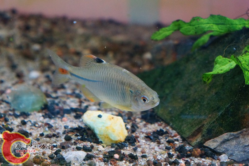 DSC01653_副本.jpg