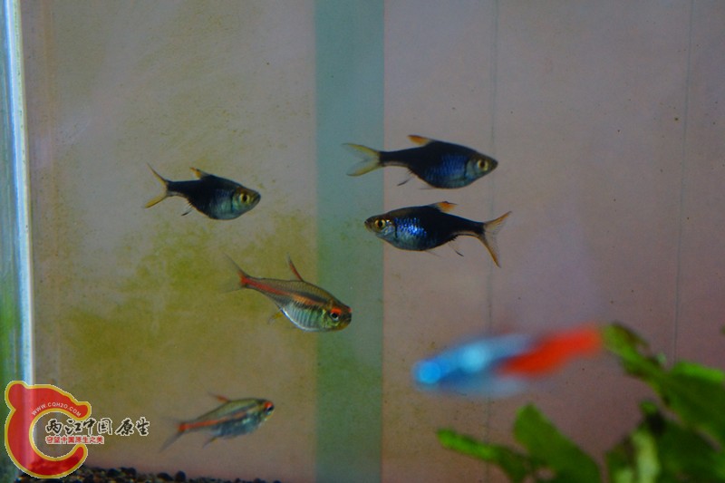 DSC01655_副本.jpg