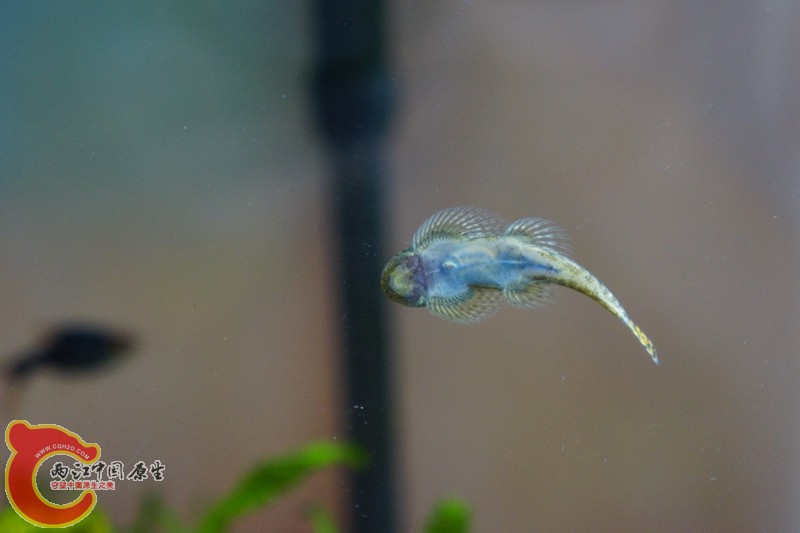DSC01668_副本.jpg