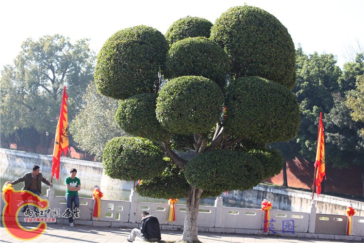 照片 153.jpg