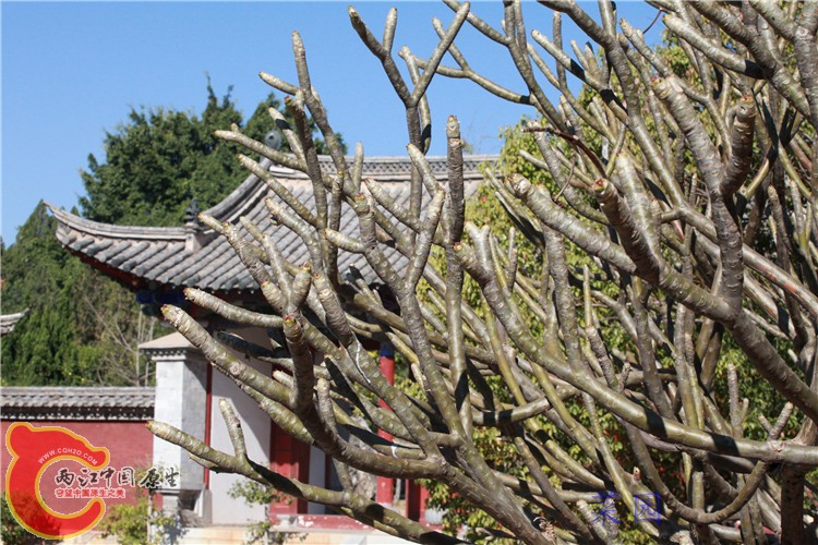 照片 179.jpg