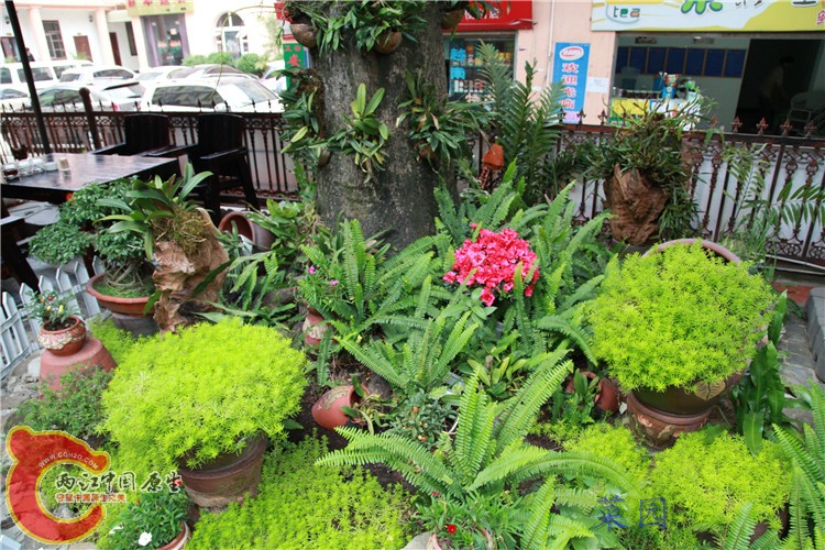 照片 244.jpg