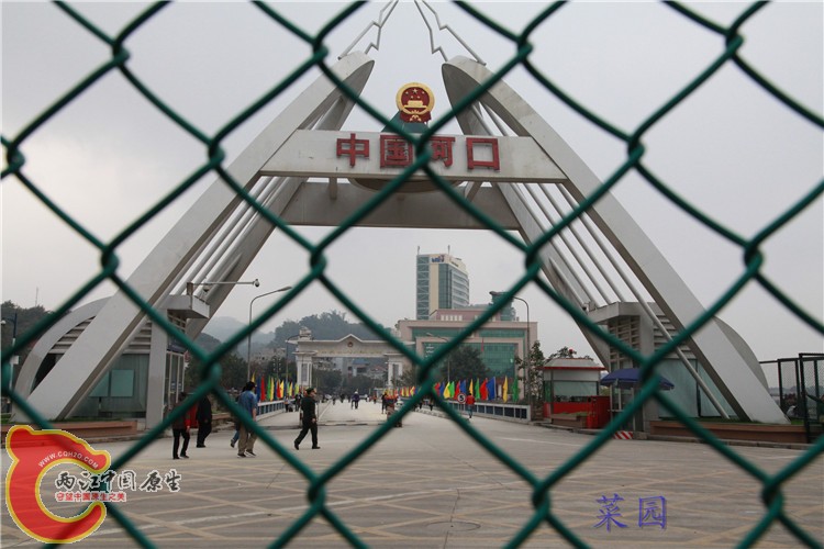 照片 248.jpg