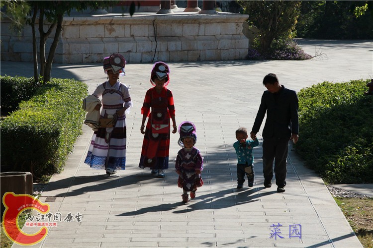 照片 466.jpg