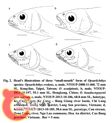 未命名2.png