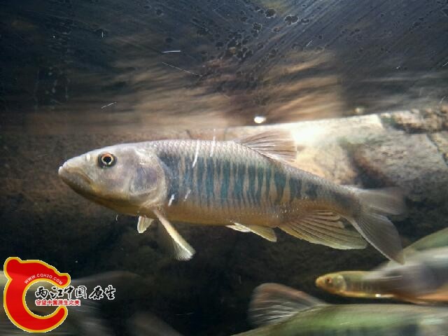20140207_175315.jpg