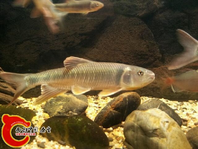 20140207_175215.jpg