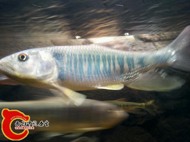 20140207_175719.jpg
